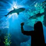 Undersea kingdom: Bangkok to sink beneath the waves | Thaiger