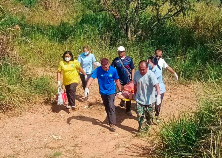 Wild gaur gores woman leaving her seriously injured in northeast Thailand