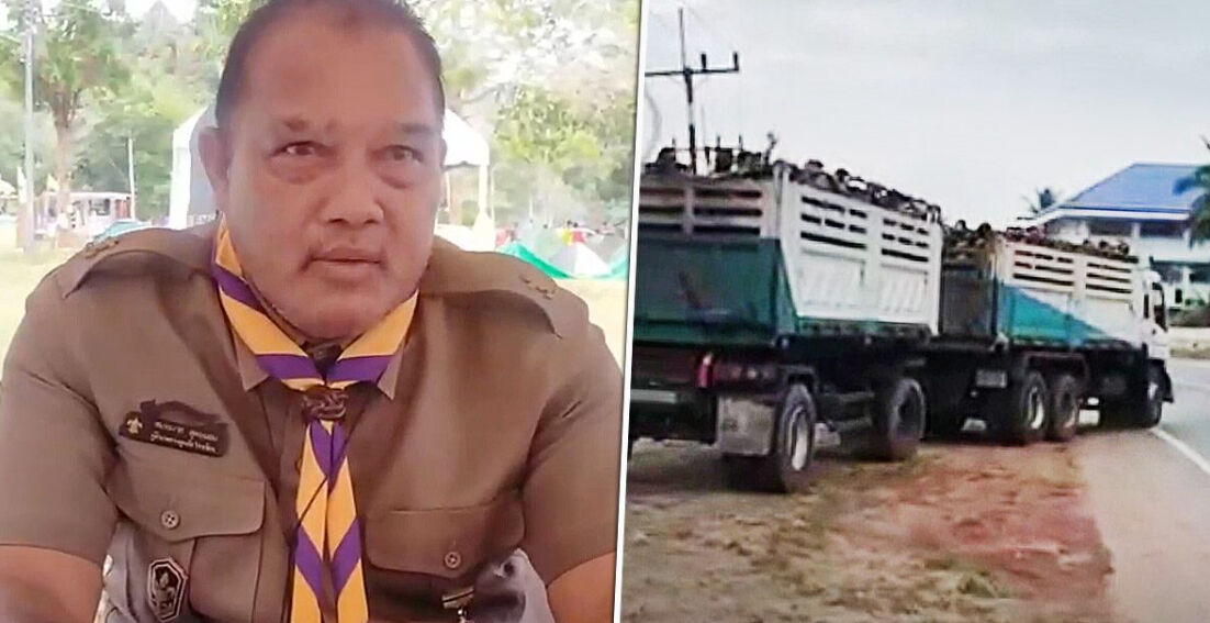 School in Thailand under fire for transporting 100 boy scouts in articulated lorry