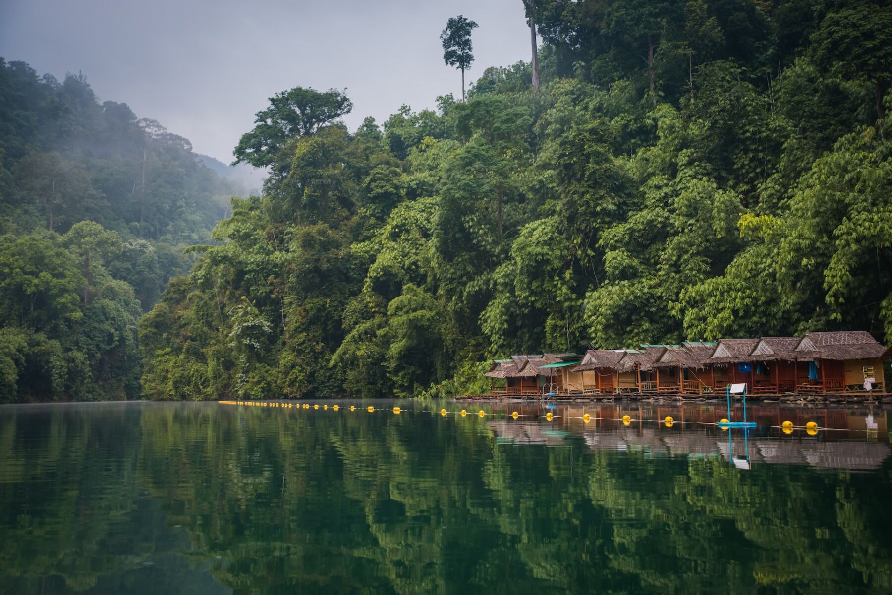 Eco-friendly and sustainable living in Thailand: The best of both worlds | News by Thaiger
