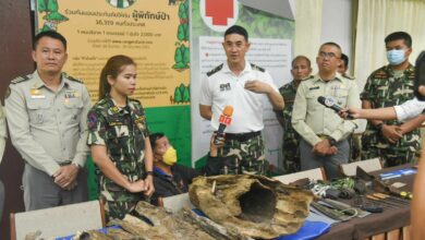 6 Vietnamese timber smugglers arrested in Isaan wildlife sanctuary