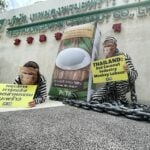 HelloFresh says no to Thai coconut milk due to forced monkey labour | Thaiger
