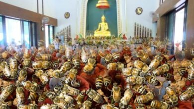 TURN IT DOWN! Bees attack temple over loud music