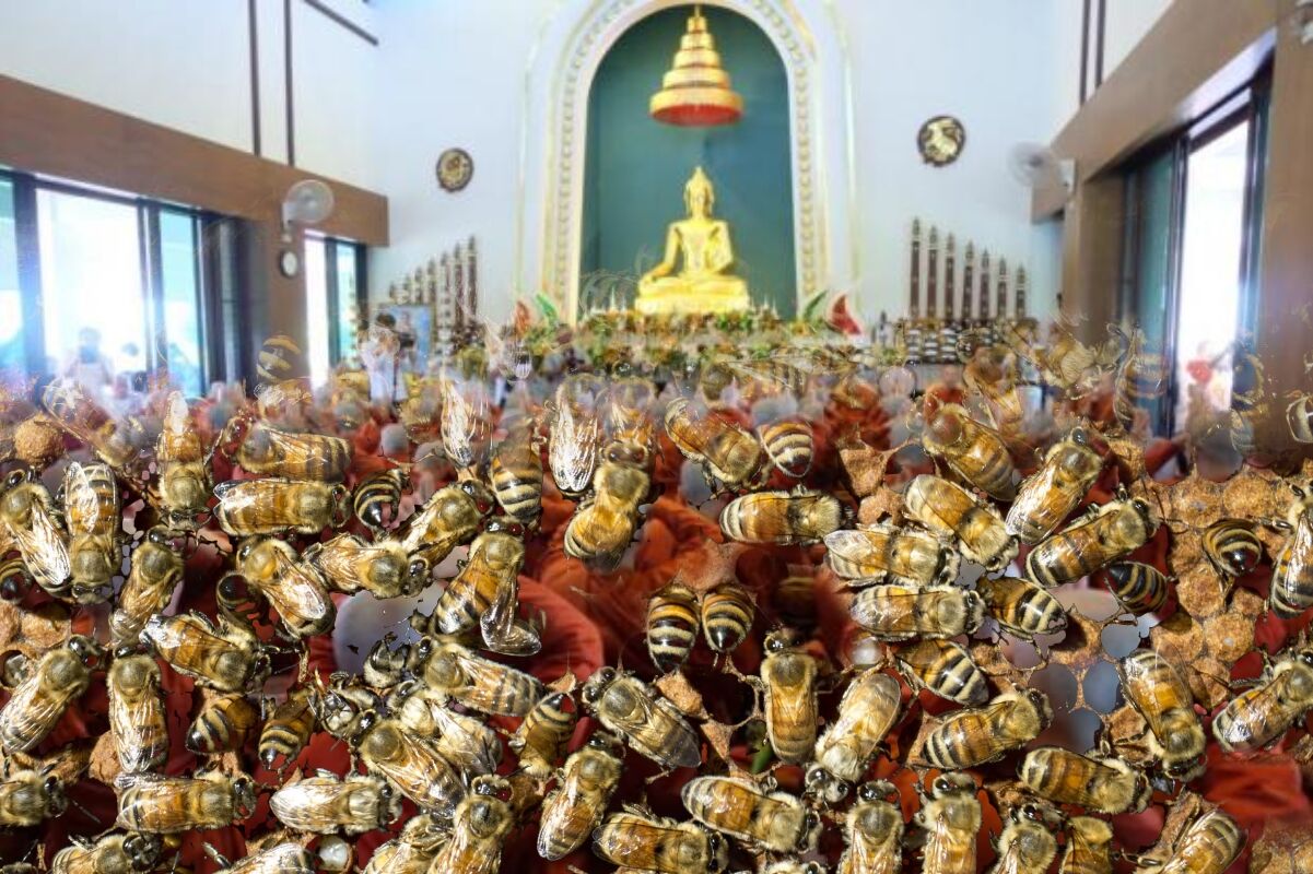 TURN IT DOWN! Bees attack temple over loud music