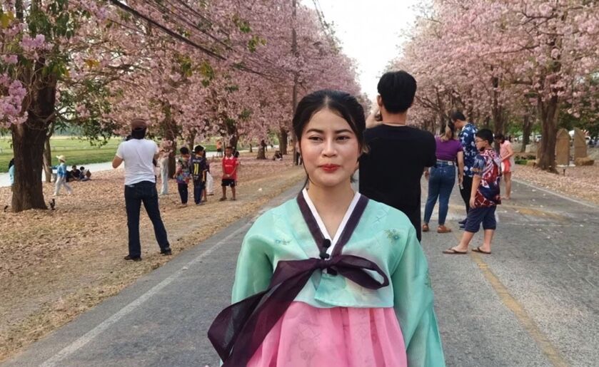 Crowds flock to pink trumpet tree festival in central Thailand