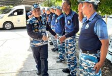 Coral Rehabilitation for Divers Volunteers protects reefs | Thaiger