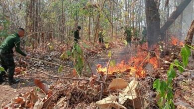 Northern Thailand sees thousands of fire hotspots | Thaiger