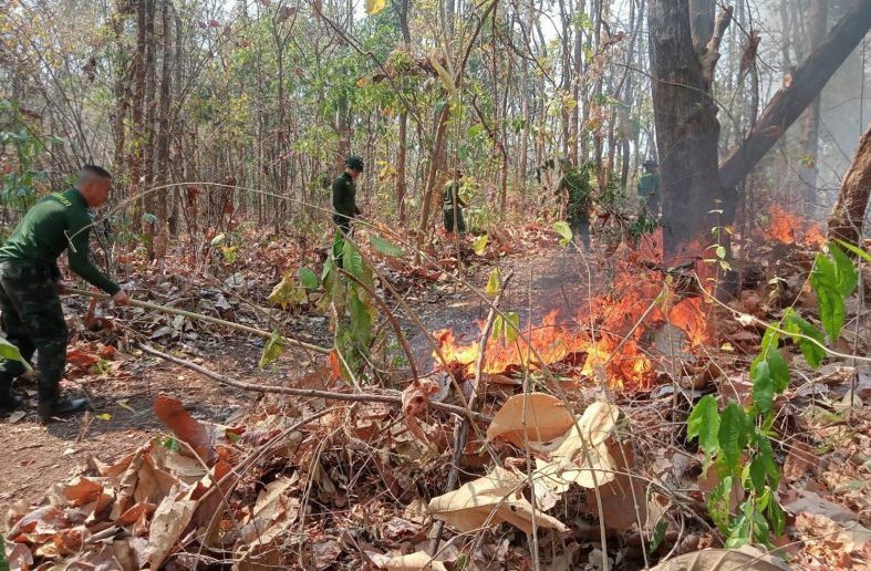 Northern Thailand sees thousands of fire hotspots