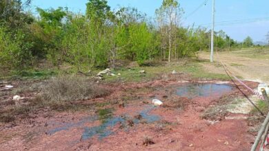Ayutthaya recycling plant caught dumping industrial waste | Thaiger