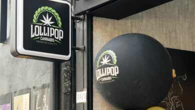 Lollipop invests in the growing cannabis business in Southeast Asia