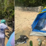 Swedish tourist found dead inside tent on Ao Nang Beach in Thailand | Thaiger