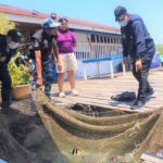 2 Phuket restaurants busted with protected marine life | Thaiger