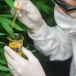 Top conditions that can be treated with medical cannabis in Thailand | Thaiger