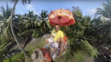 Tourist films himself smoking blunt while riding elephant in Thailand
