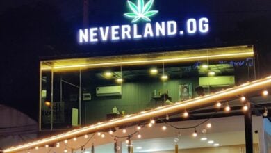 Neverland cannabis shop sets the bar high with its game-changing service