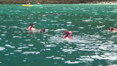 Russian tourist tragically drowns off Krabi island