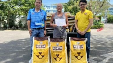 Tourist bitten by Krabi dog donates 20,000 baht worth of food for strays