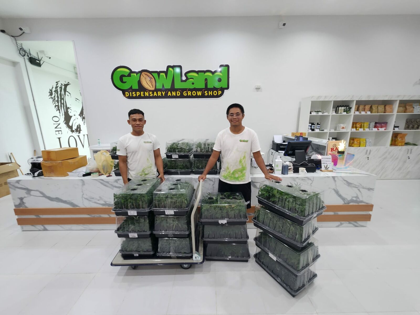 Growing cannabis in Thailand? Never grow alone with Growland Dispensary and Grow Shop