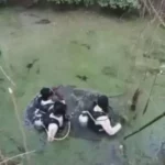 Bones found behind man&#8217;s house who committed suicide suspected to belong to missing wife | Thaiger