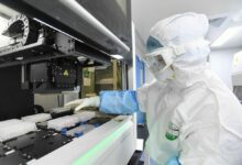 WHO makes Covid-19 pandemic plea | Thaiger