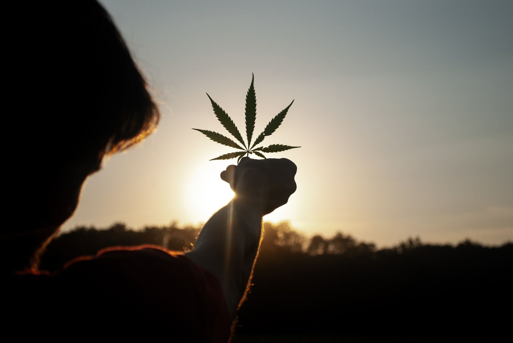 Hazy days ahead: The future of cannabis tourism in Thailand