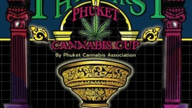 Introducing the first ever Phuket Cannabis Cup | Thaiger