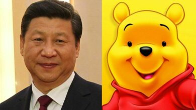 Winnie the Pooh movie banned in Hong Kong amid President Xi links (video)