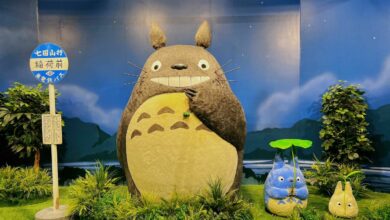 Studio Ghibli Films animation exhibition at CentralWorld | Thaiger