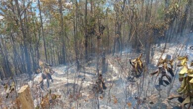 Forest fire kills another firefighting volunteer in northern Thailand