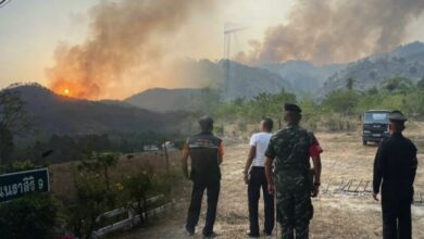 Thai soldiers rush to put out another forest fire in Nakhon Nayok
