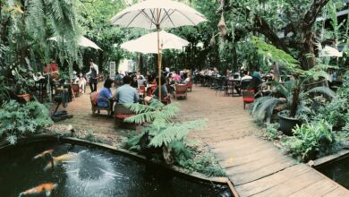 10 cafes in Chiang Mai you need to check out  | Thaiger