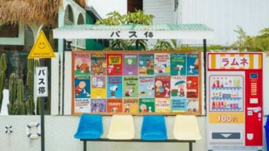 Content creators should not miss all included at Ari doi street. | Thaiger