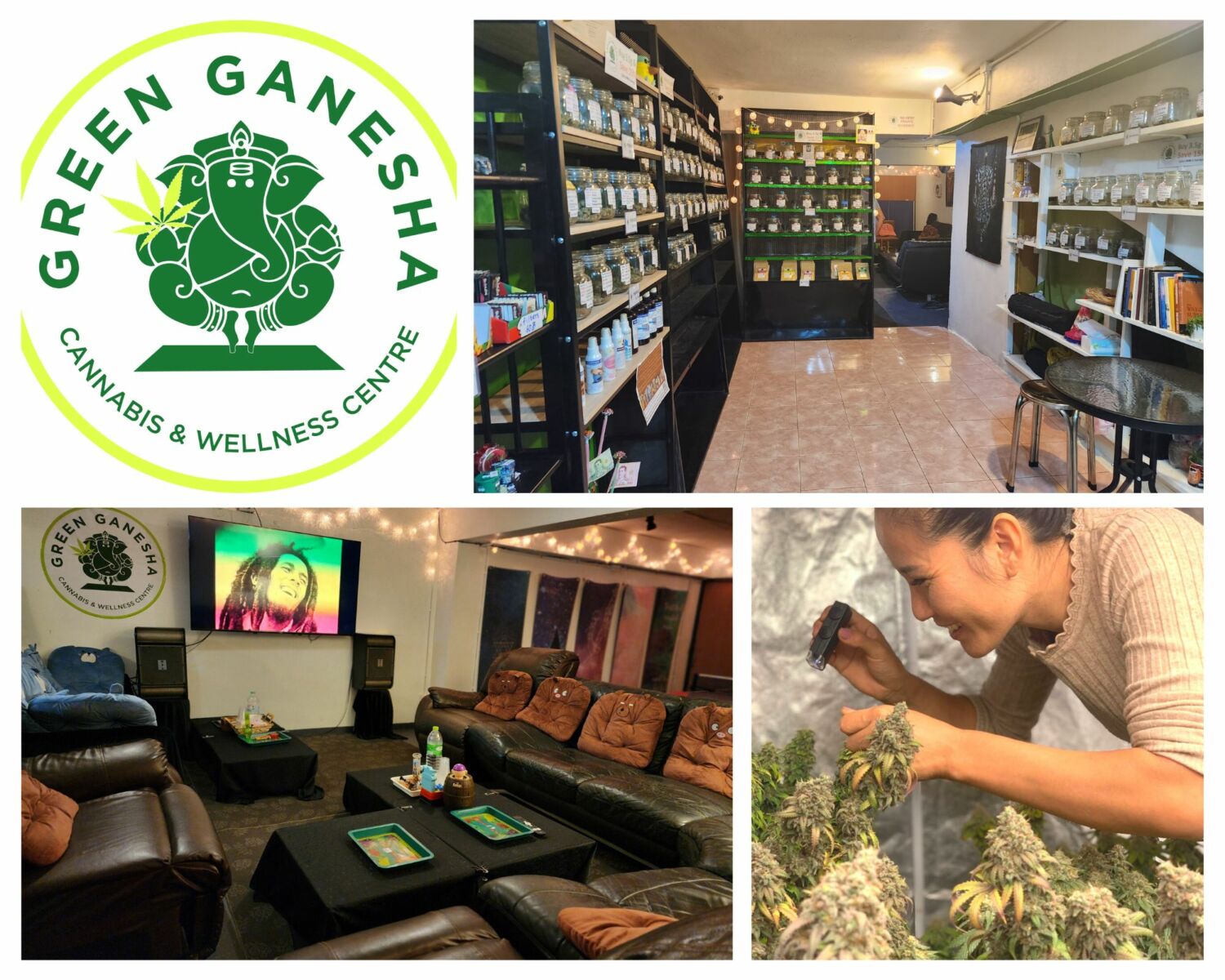 Where you can get cannabis in Chiang Mai | News by Thaiger