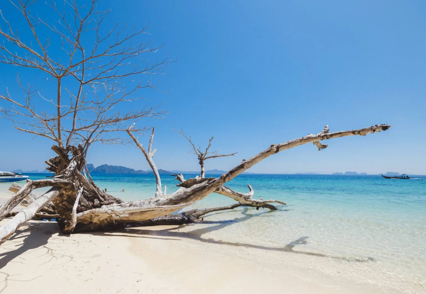 Tourism to Thailand’s Koh Kradan jumps sixfold after winning title as best beach on earth