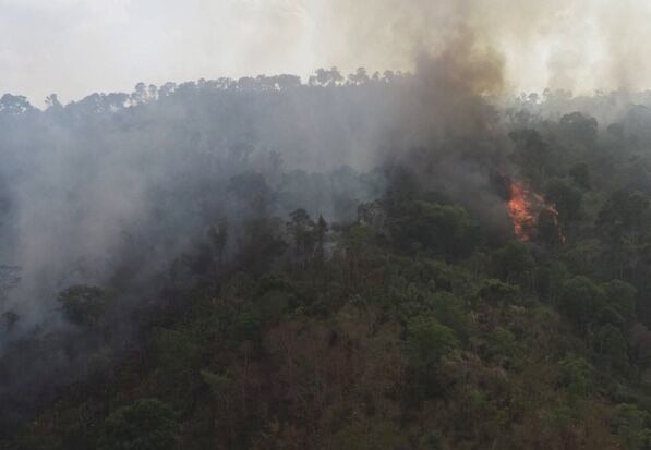 Chiang Mai national park fire kills firefighting volunteer