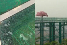 Chiang Rai skywalk closed for repairs after glass panel shatters | Thaiger