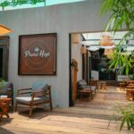 Phuket High: One of the main player in Phuket’s blooming cannabis scene | Thaiger