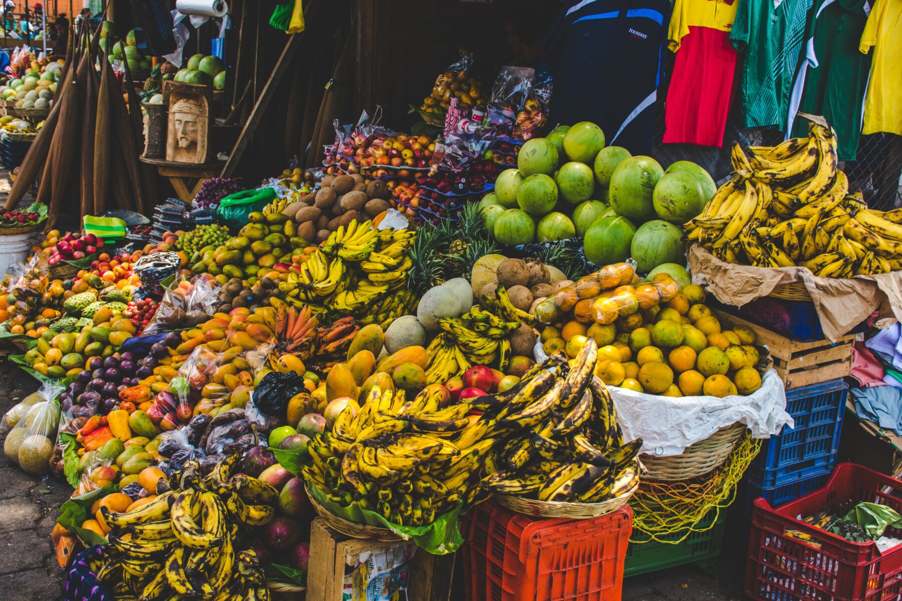 fruit stalls and vendors