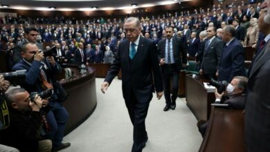 Erdogan cancels appearances due to stomach bug