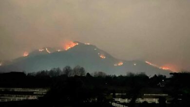Chiang Mai residents sue govt over perpetual air pollution crisis