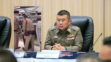 Thailand’s Tourist Police under fire for carrying famous lawyer’s luggage (video)