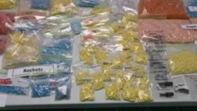 International drug ring busted in Thailand: NCB seizes 100kg of narcotics, 3 arrested