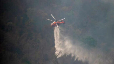 Wildfire strikes Thai National Park, sparks regional eco-disaster