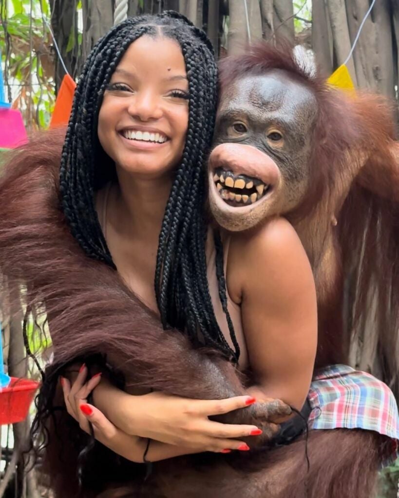 Actress Halle Bailey faces backlash for posing with animals at controversial Bangkok zoo | News by Thaiger