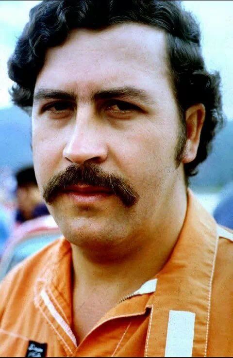 Pablo Escobar hippos: From drug lord's collection to overseas sanctuaries for US$3.5 million (video) | News by Thaiger