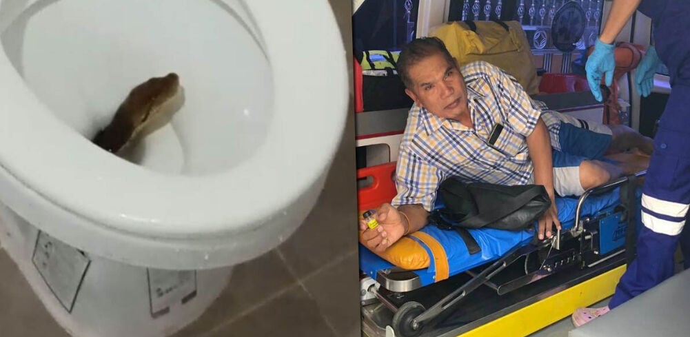 Python hiding in toilet bites Thai man’s buttocks