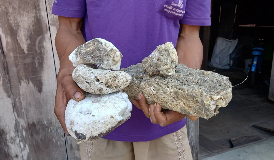 Lucky fisherman finds whale puke worth 3 million baht on Thailand beach