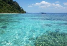 Efforts doubled to preserve Koh Kradan, the Best Beach of Earth 2023