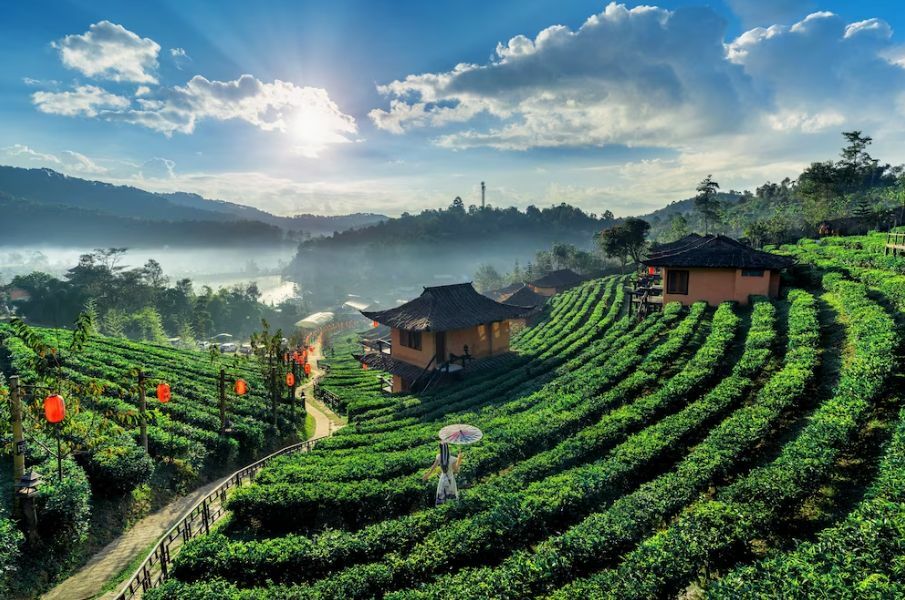 travel opportunities for retirees