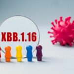 Thailand detects 6 new cases of Omicron XBB.1.16 subvariant and one XBB.1.16.1 | Thaiger